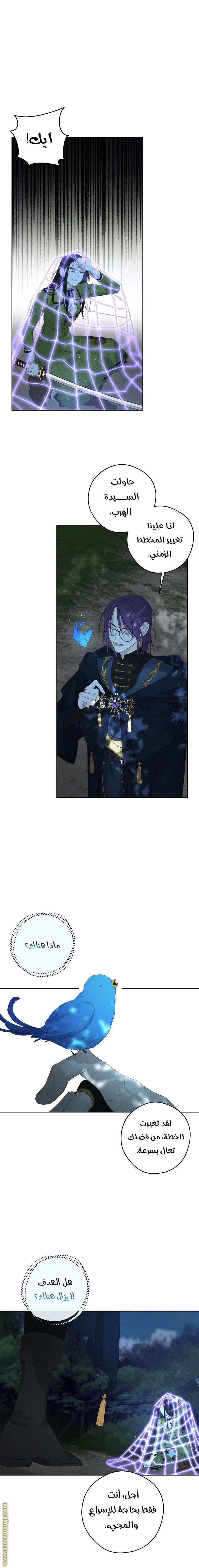 الصفحة 17