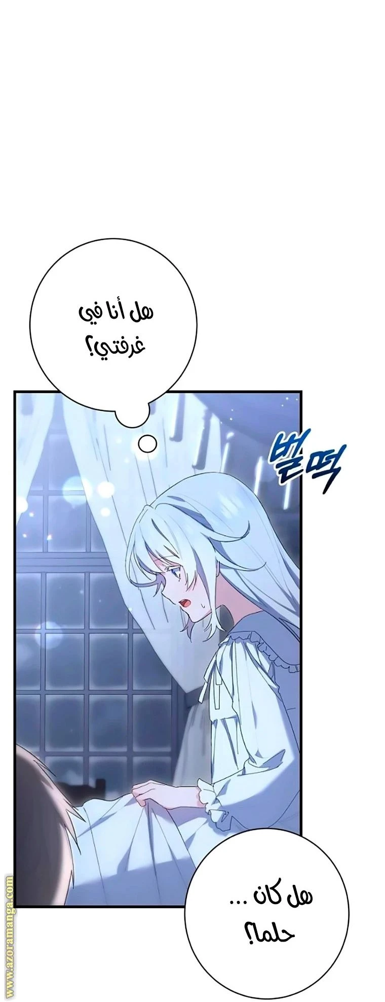 الصفحة 27