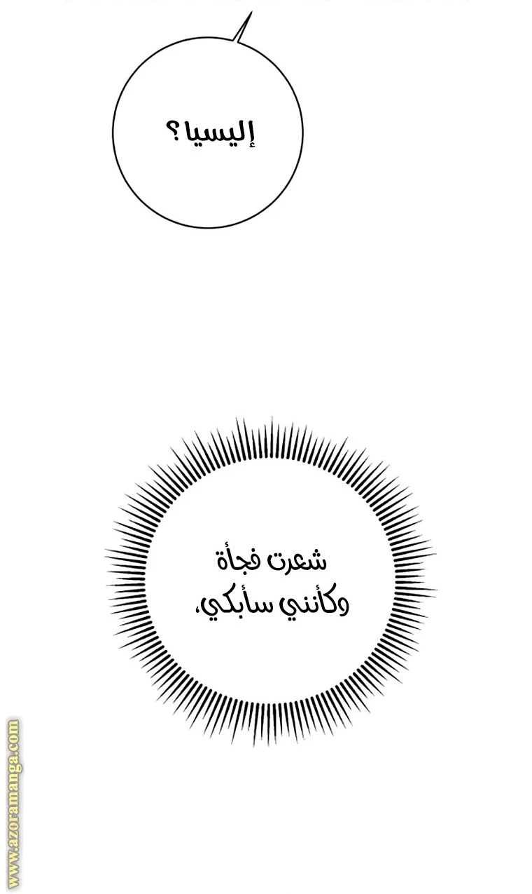 الصفحة 40