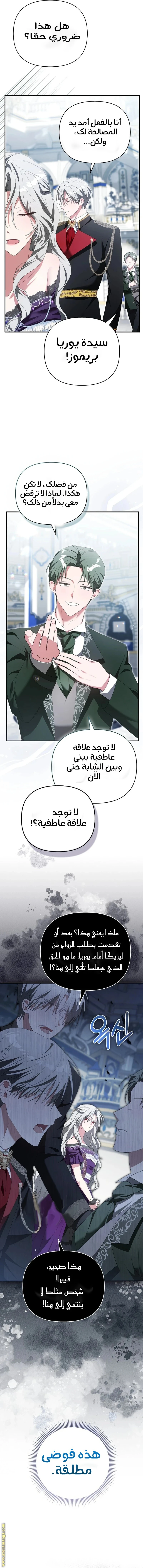 الصفحة 13