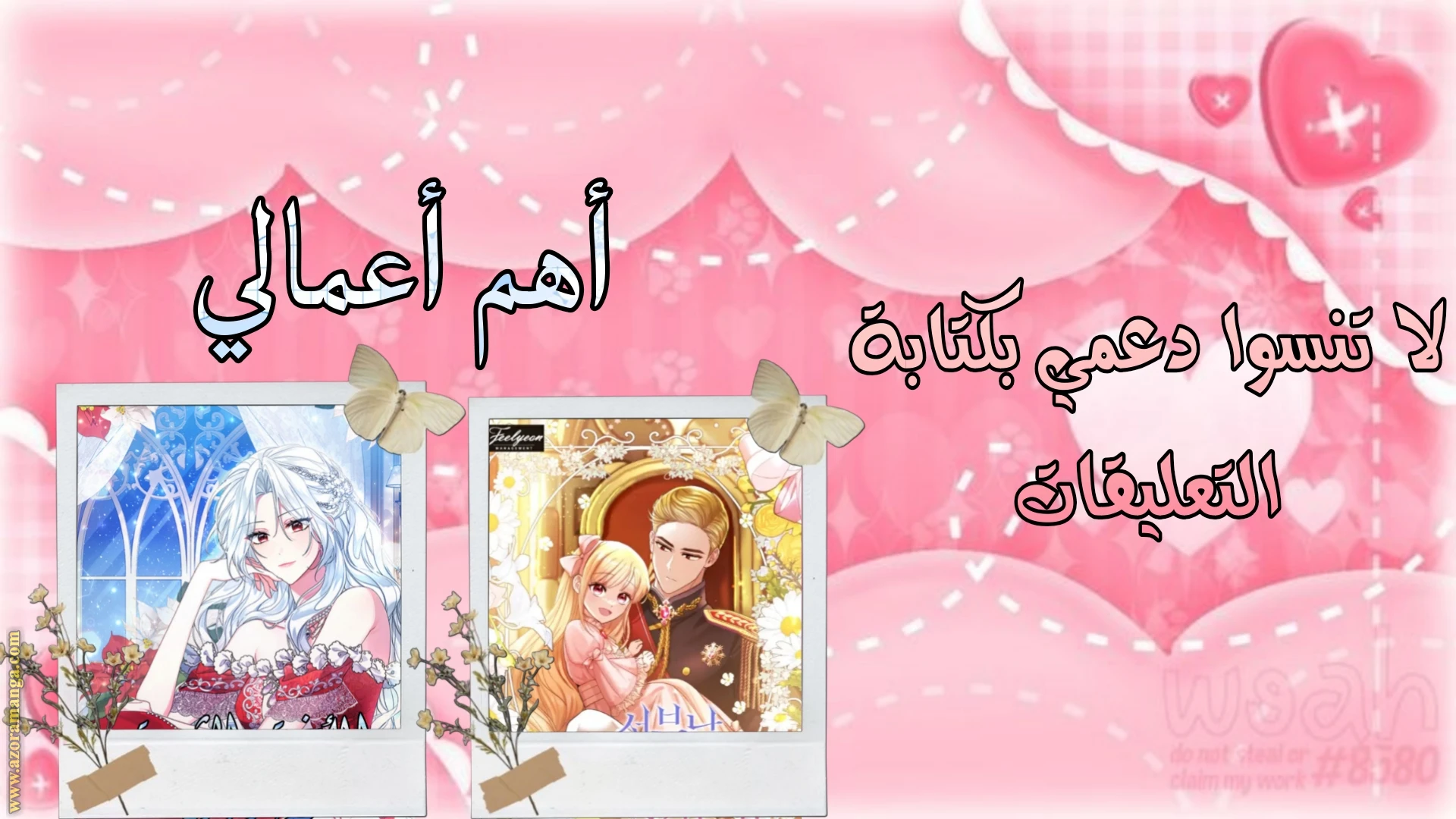 الصفحة 17