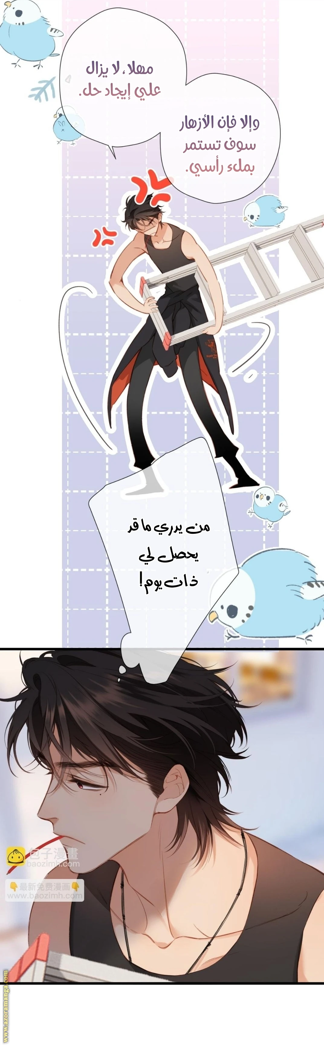 الصفحة 10