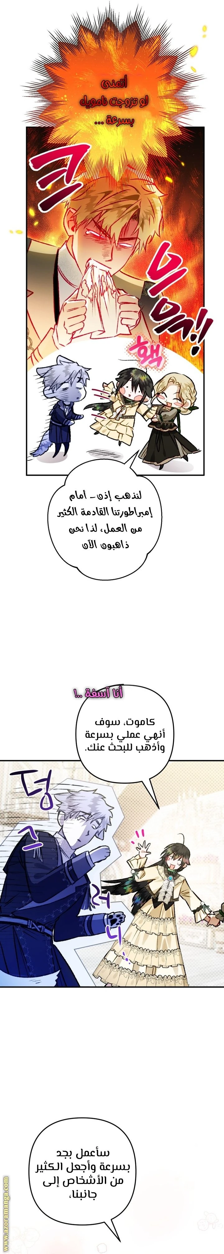 الصفحة 14