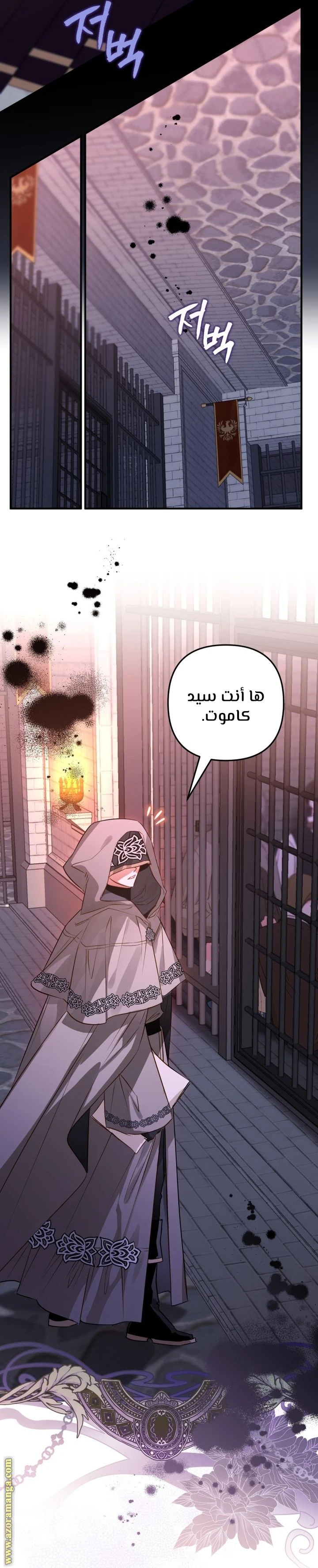 الصفحة 17