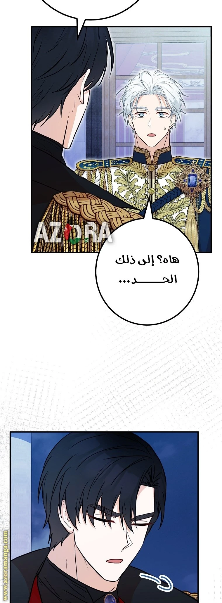 الصفحة 46