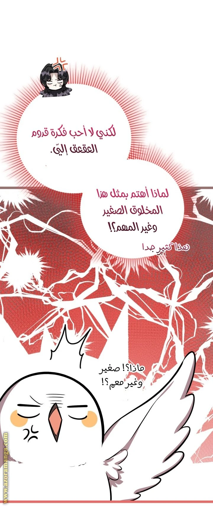 الصفحة 3