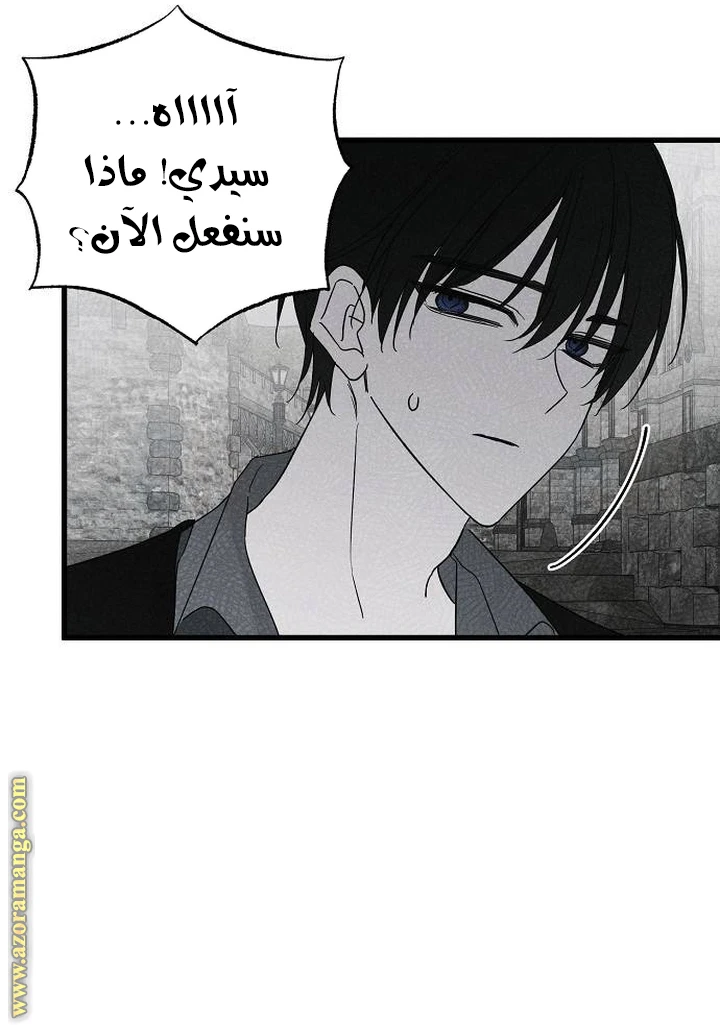 الصفحة 24