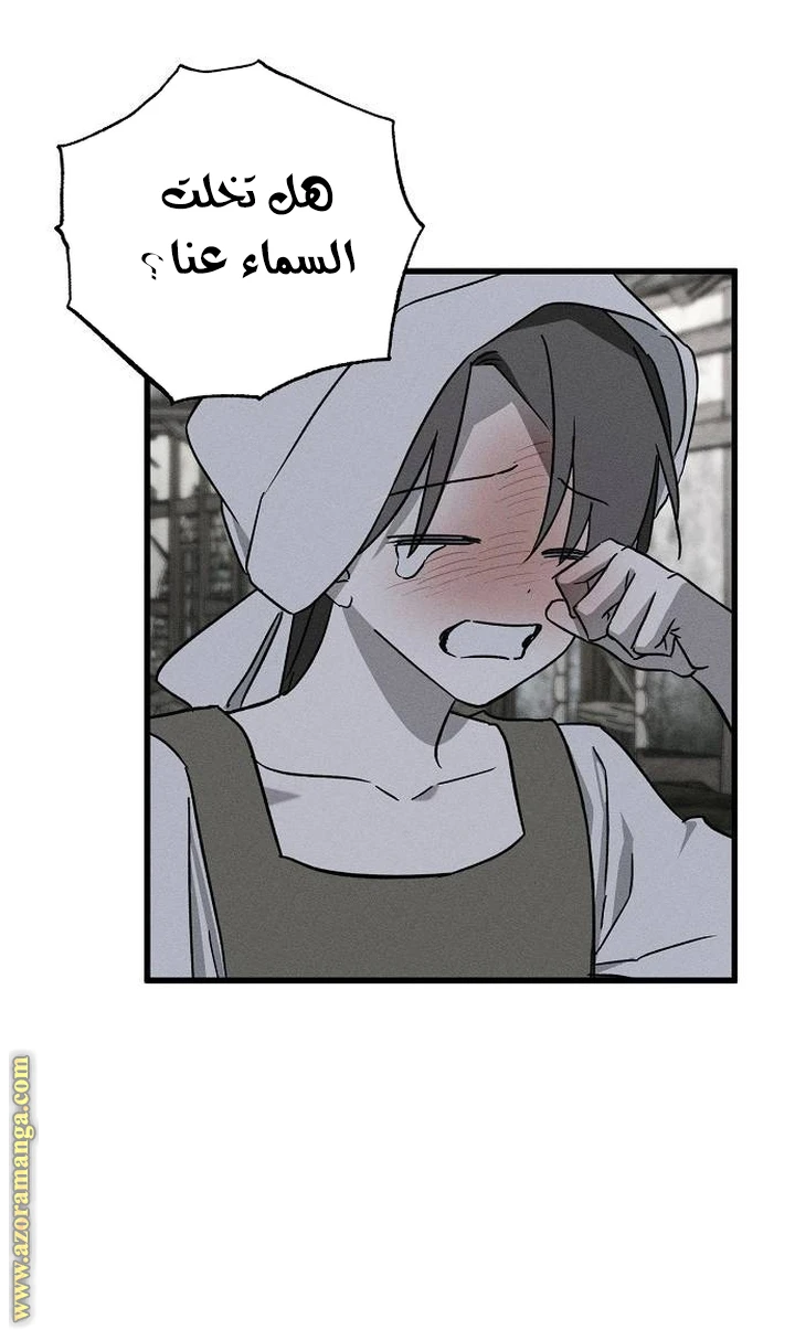 الصفحة 27