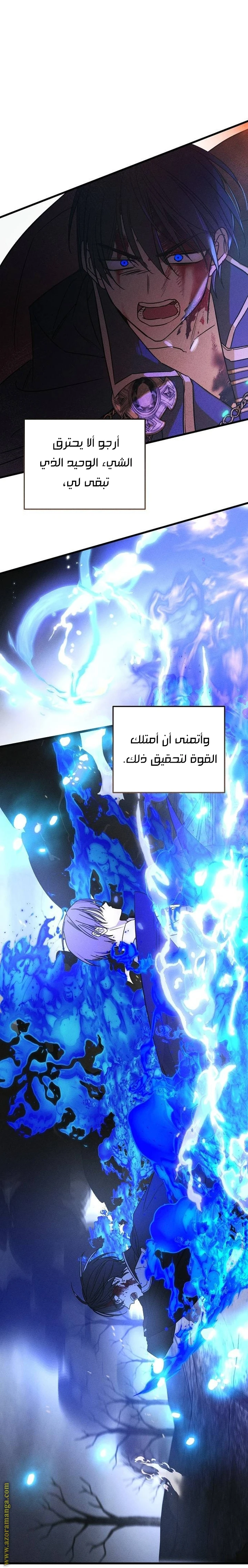 الصفحة 38