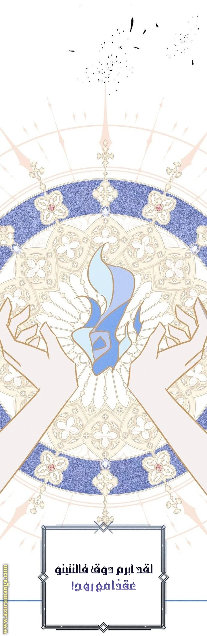 الصفحة 41