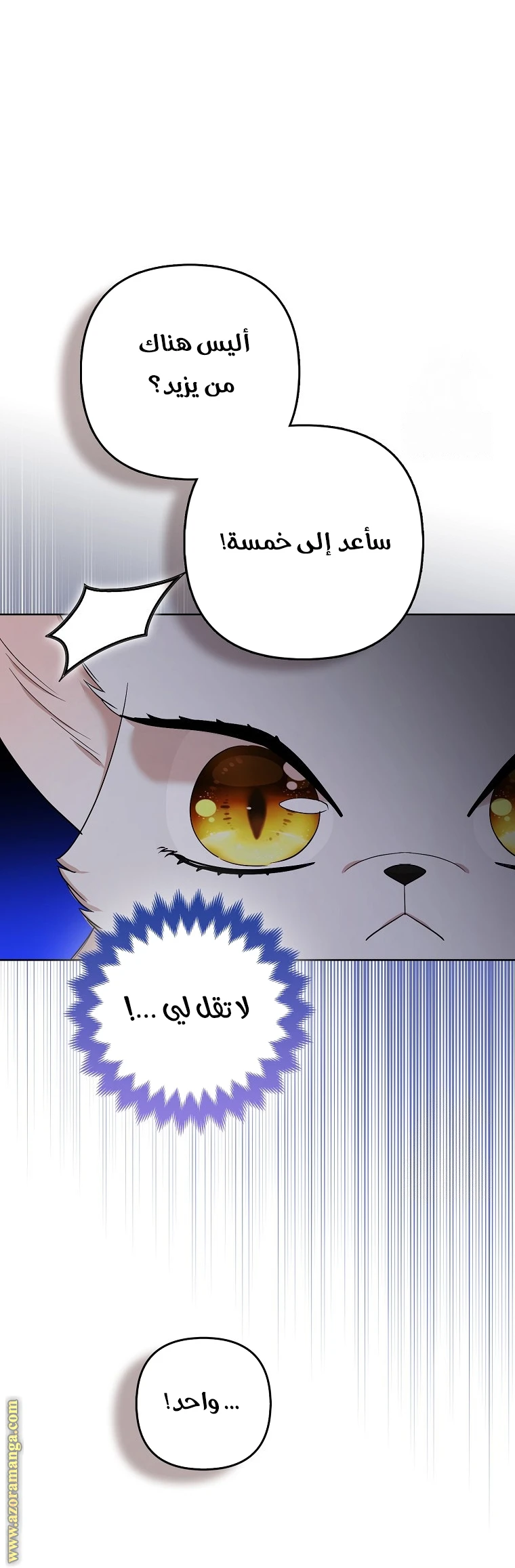 الصفحة 25