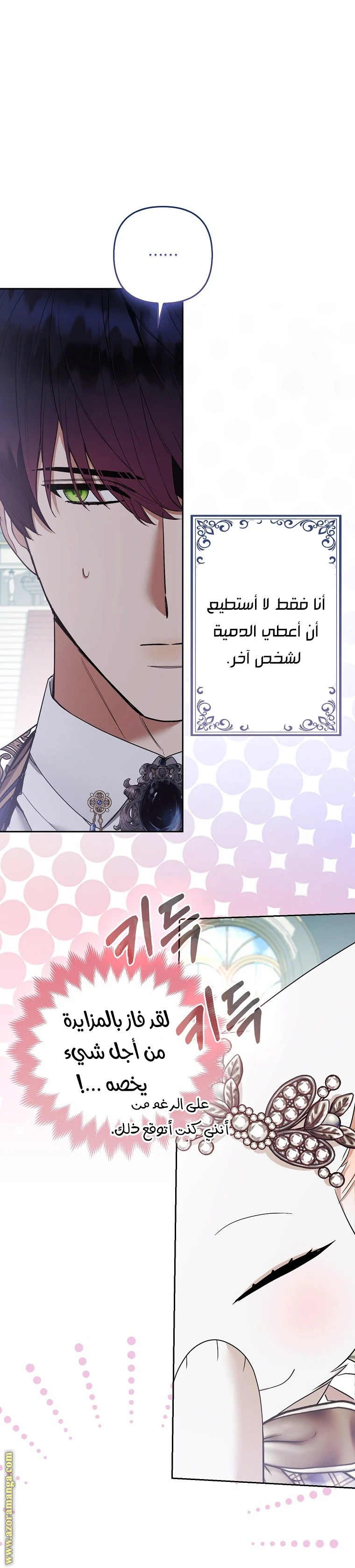 الصفحة 27