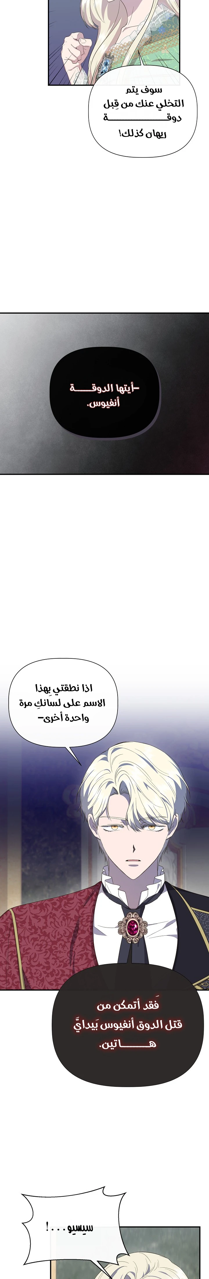 الصفحة 13