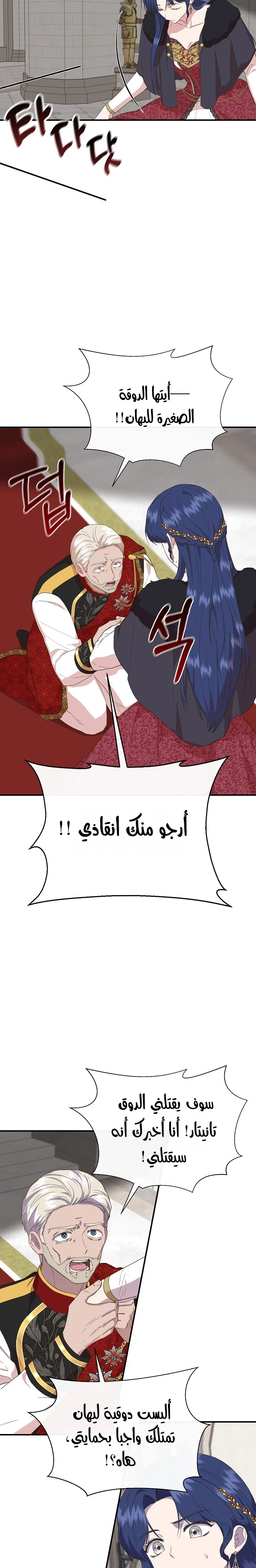 الصفحة 17