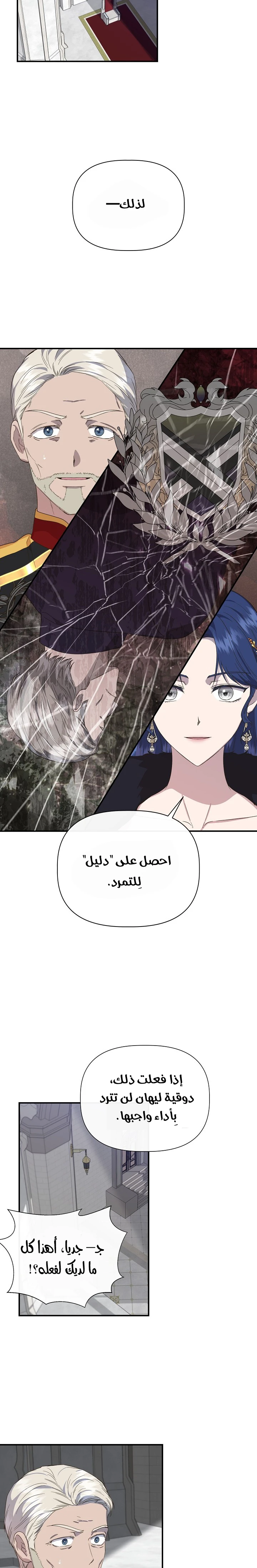 الصفحة 20
