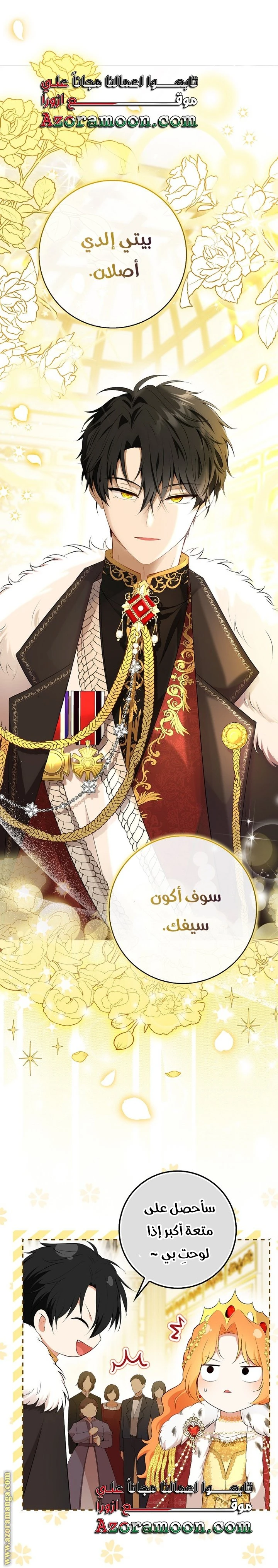 الصفحة 17