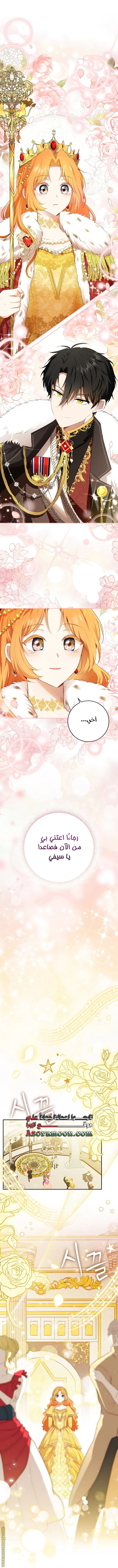 الصفحة 19