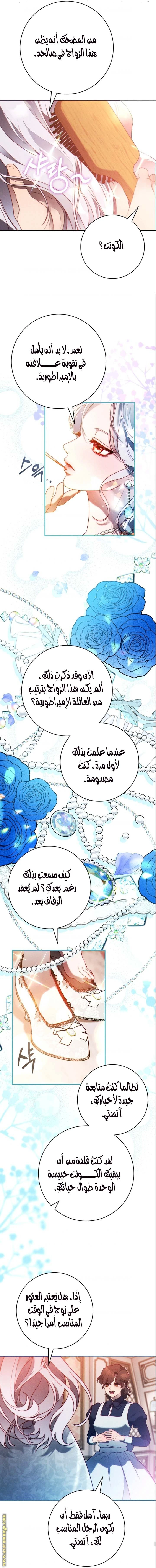 الصفحة 15