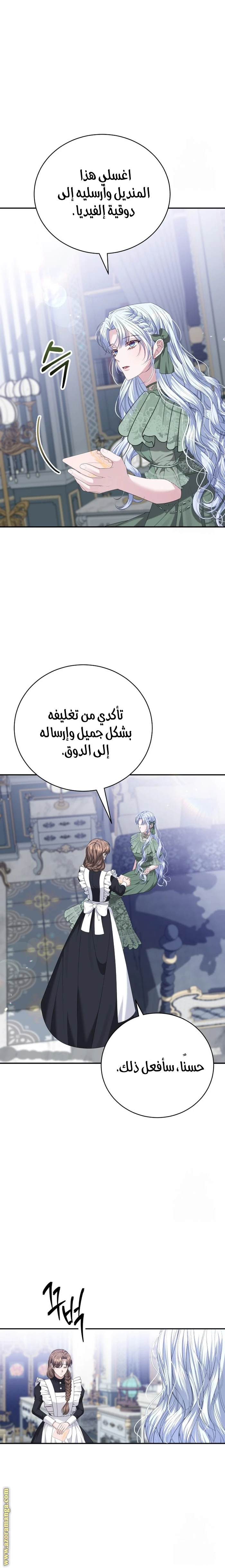 الصفحة 25
