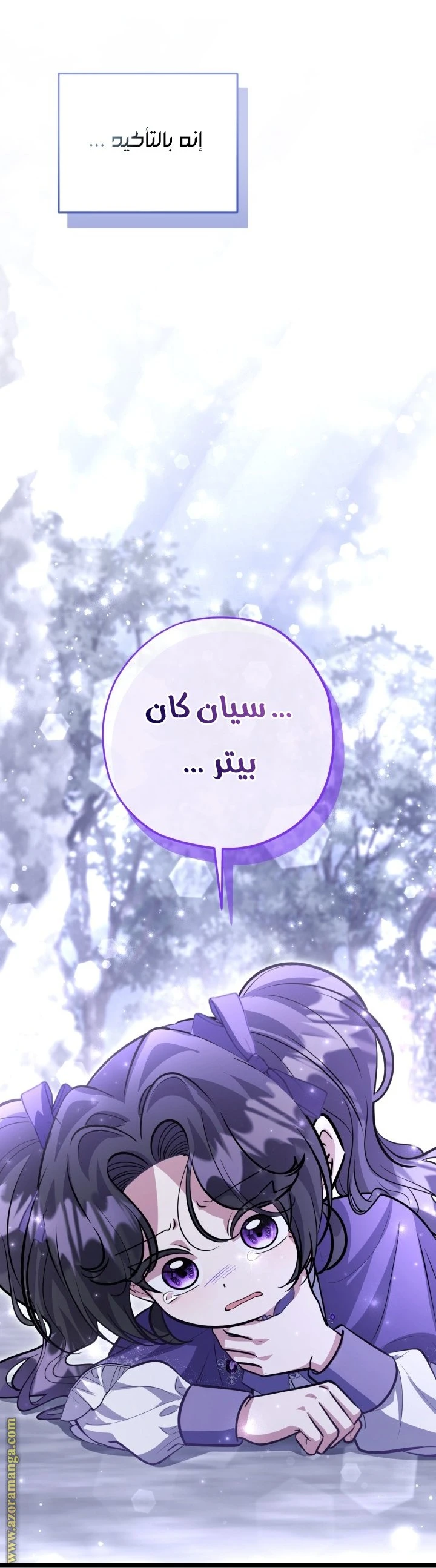 الصفحة 29