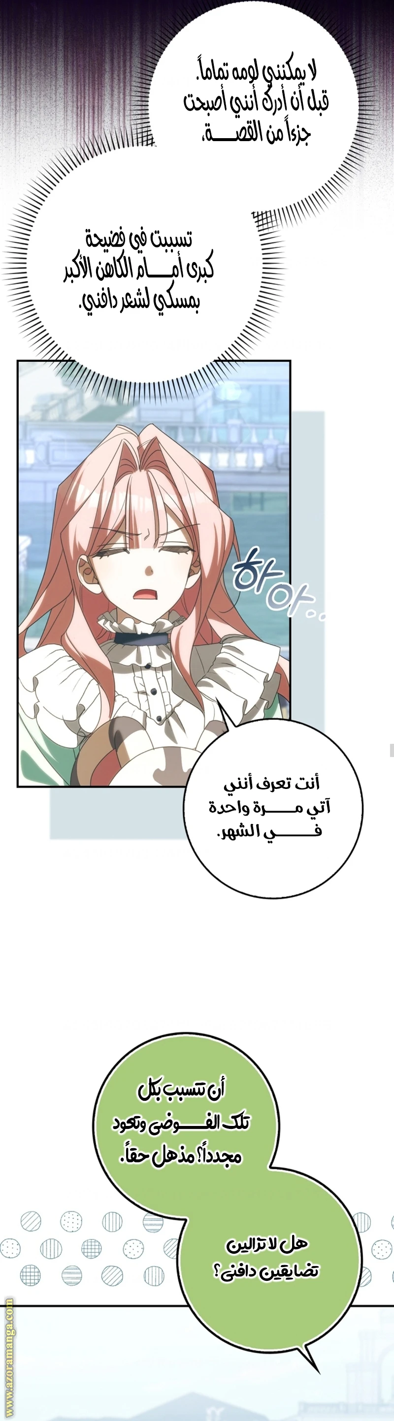 الصفحة 24