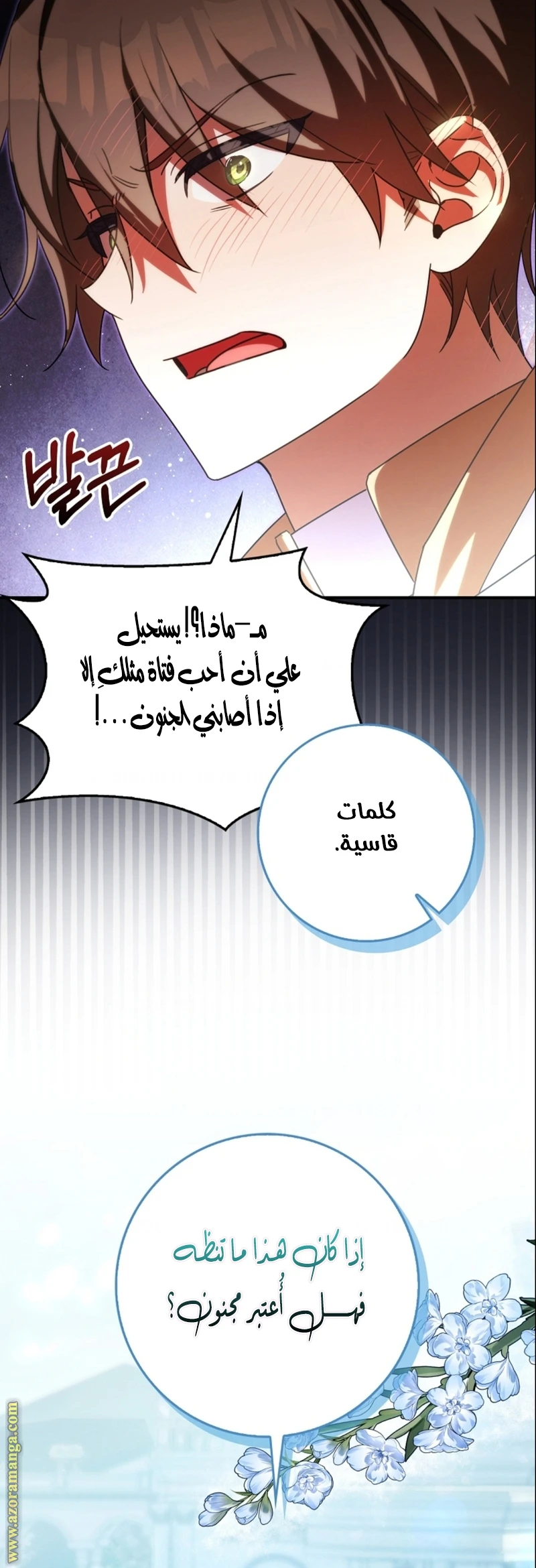الصفحة 26