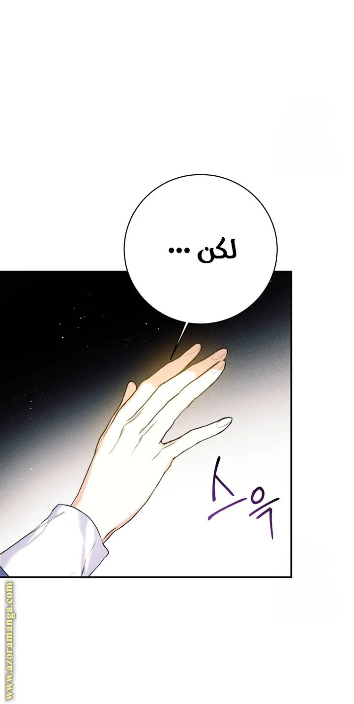 الصفحة 29