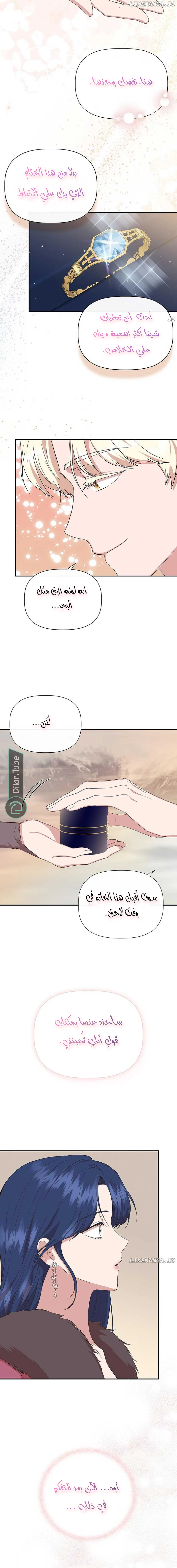 الصفحة 14