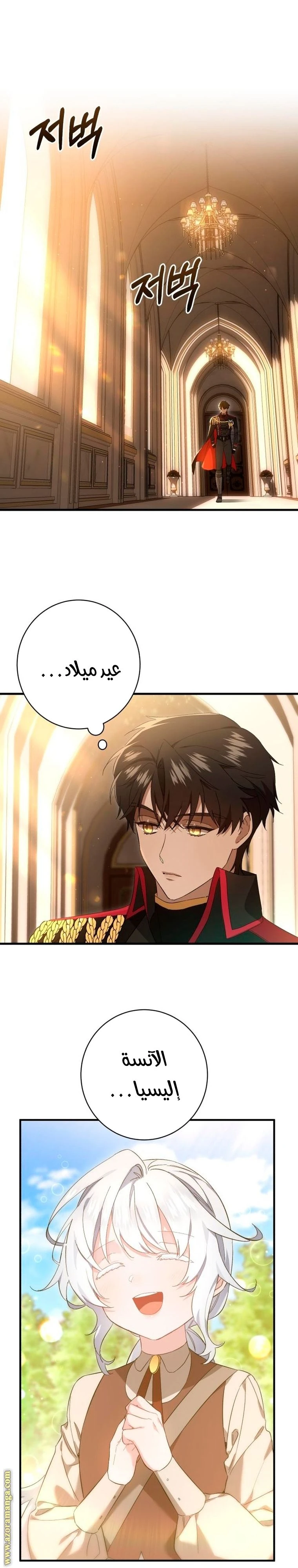 الصفحة 25