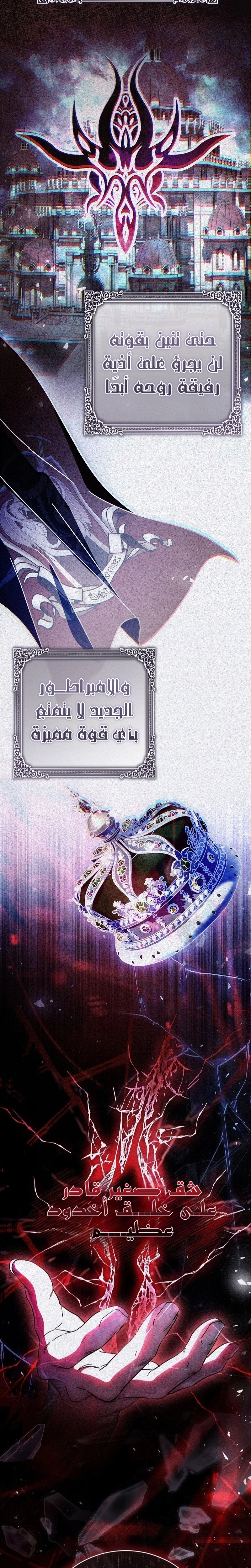 الصفحة 24