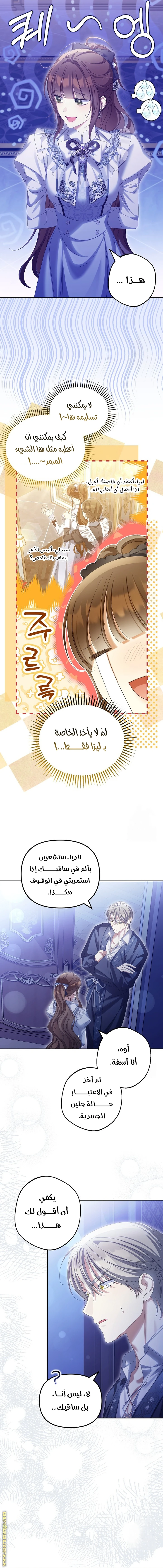 الصفحة 17