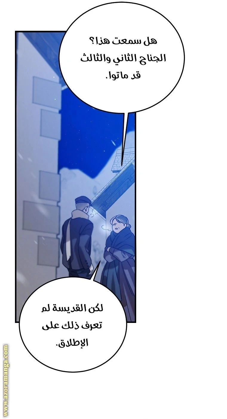 الصفحة 24