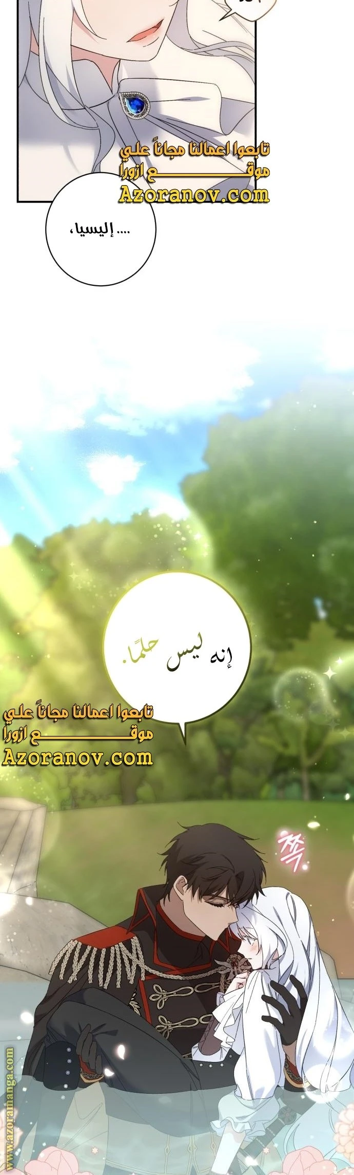 الصفحة 24