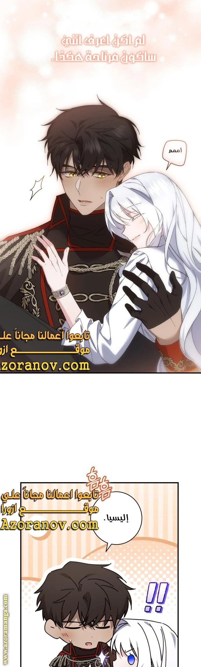 الصفحة 29
