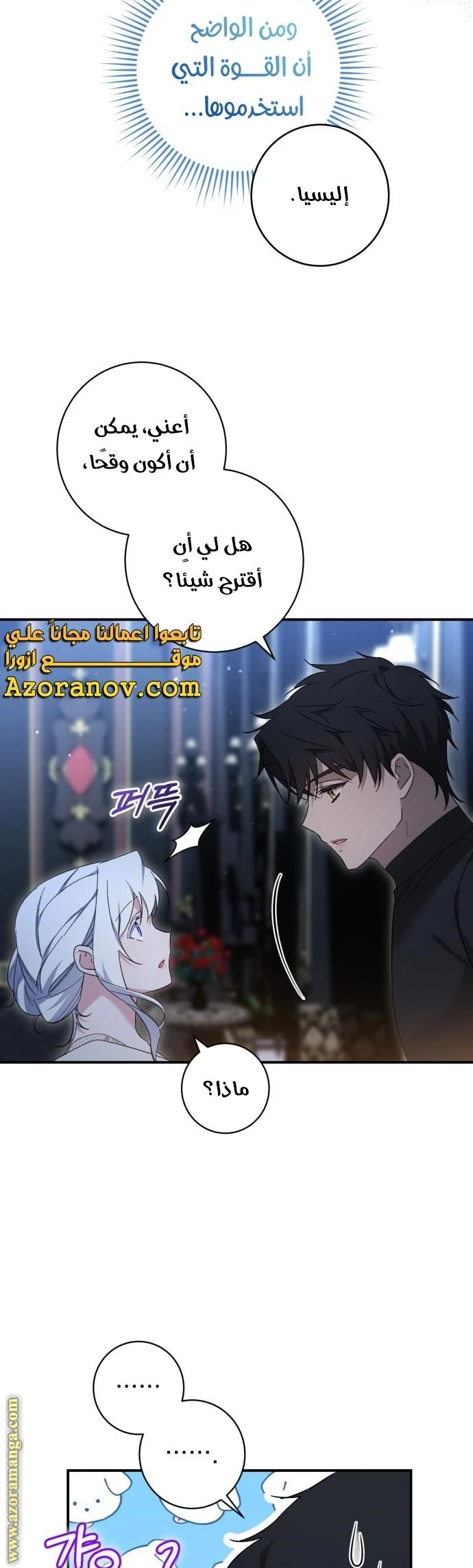 الصفحة 42
