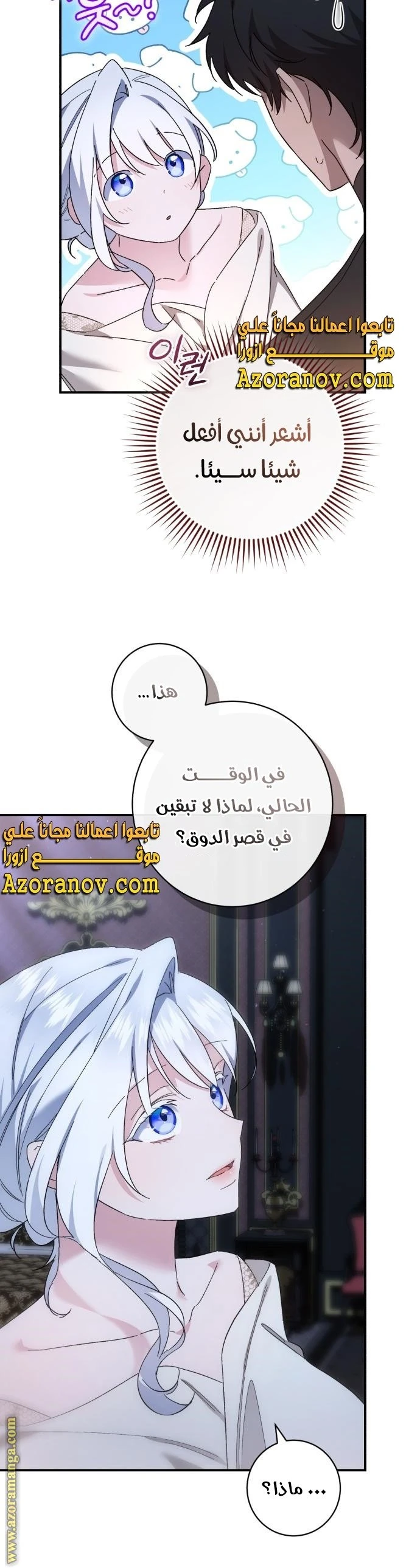 الصفحة 43