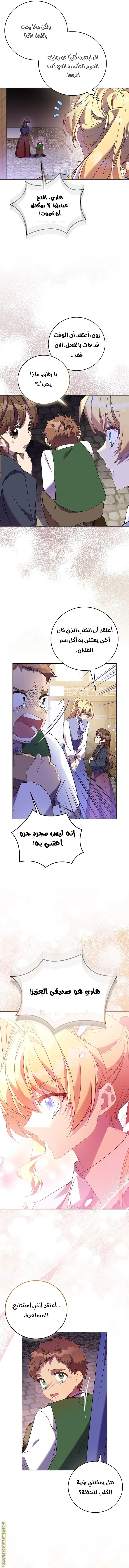 الصفحة 13