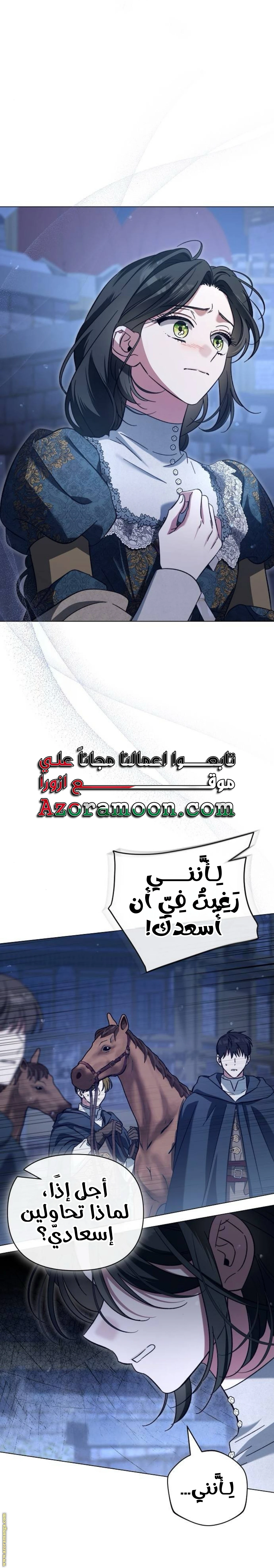 الصفحة 17