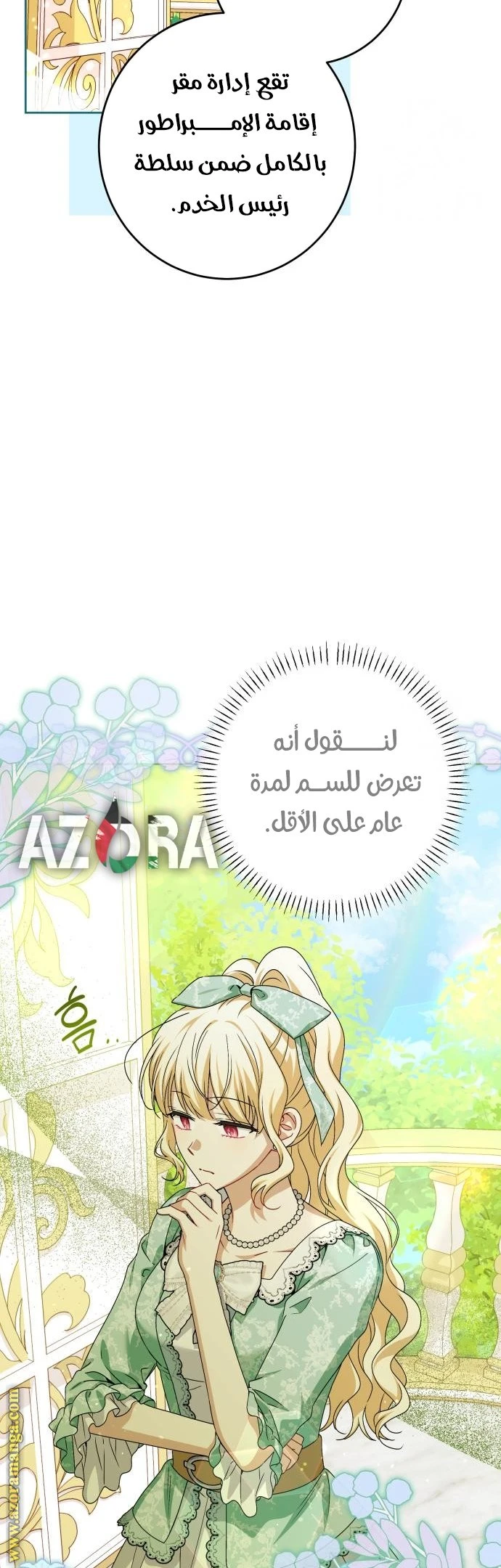 الصفحة 29