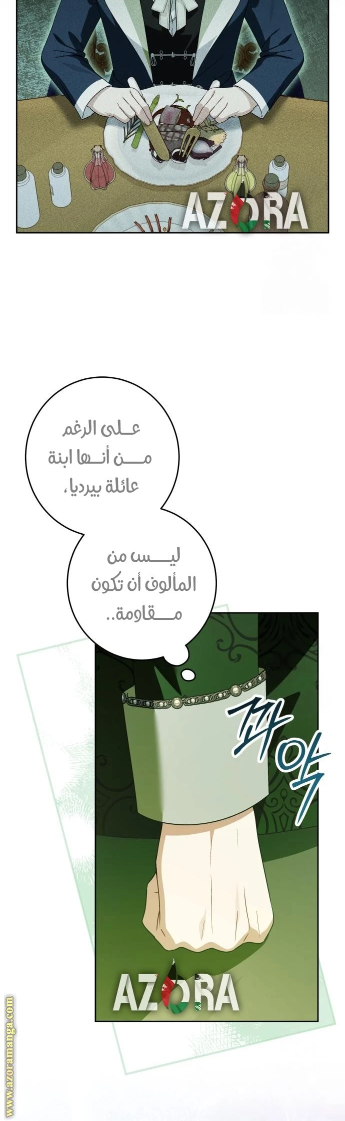 الصفحة 43