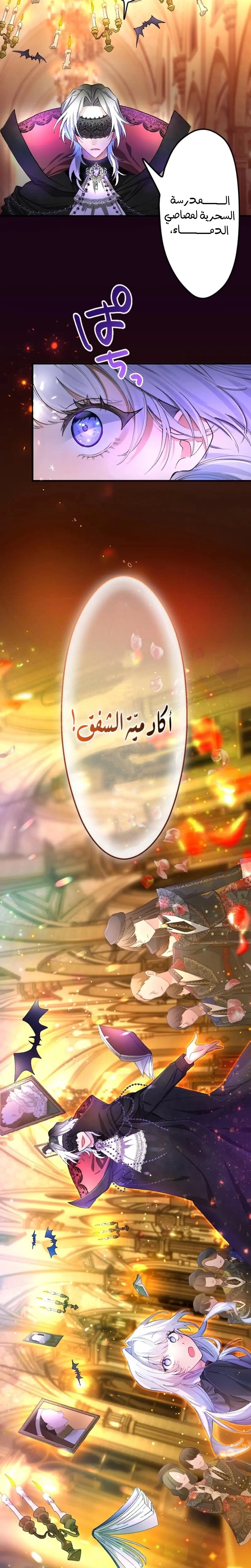 الصفحة 16