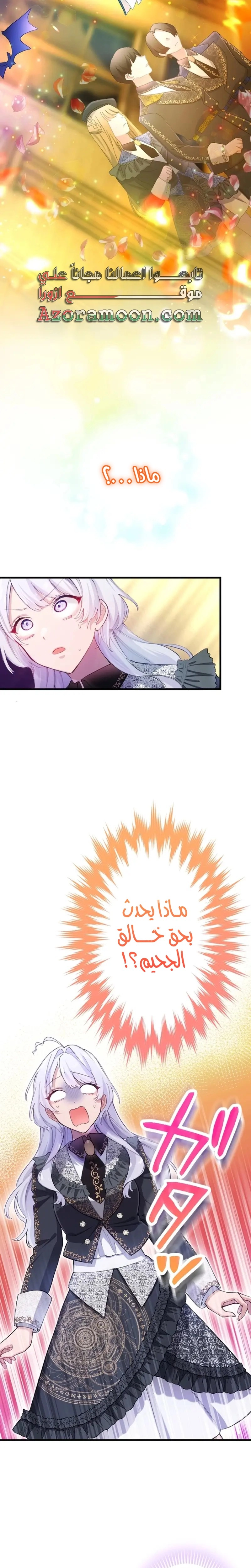 الصفحة 17