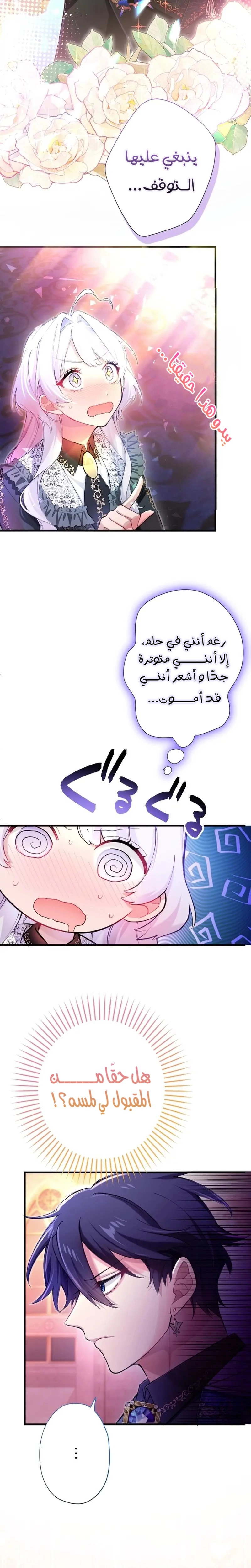الصفحة 25