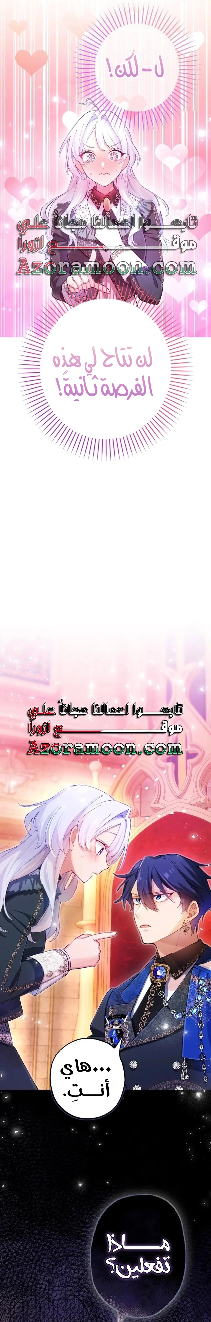 الصفحة 26