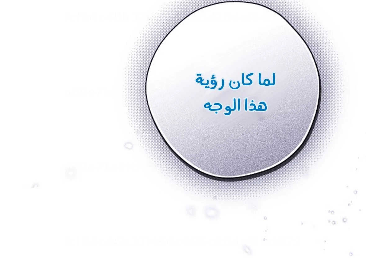 الصفحة 42