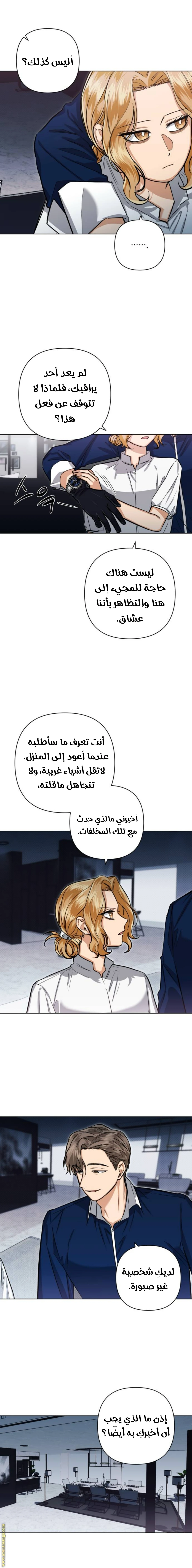 الصفحة 11