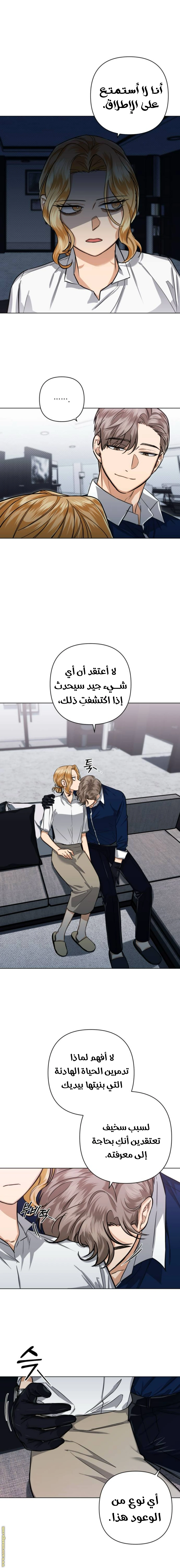 الصفحة 13
