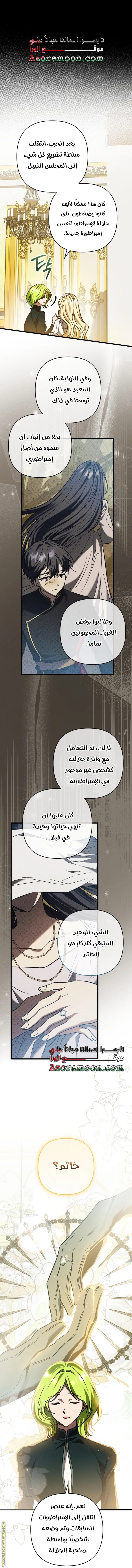 الصفحة 17