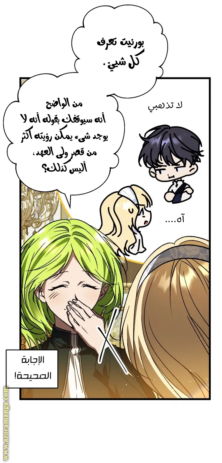 الصفحة 29