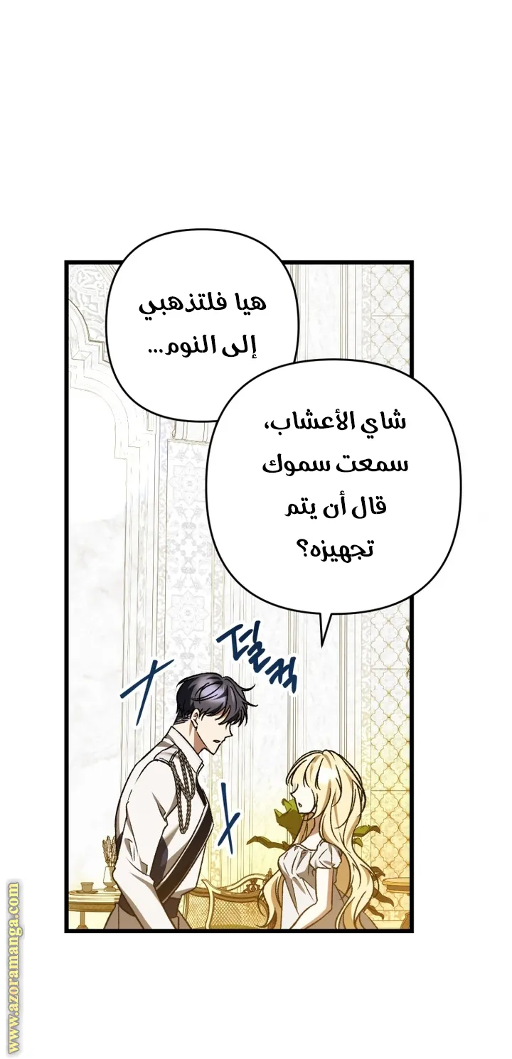 الصفحة 39